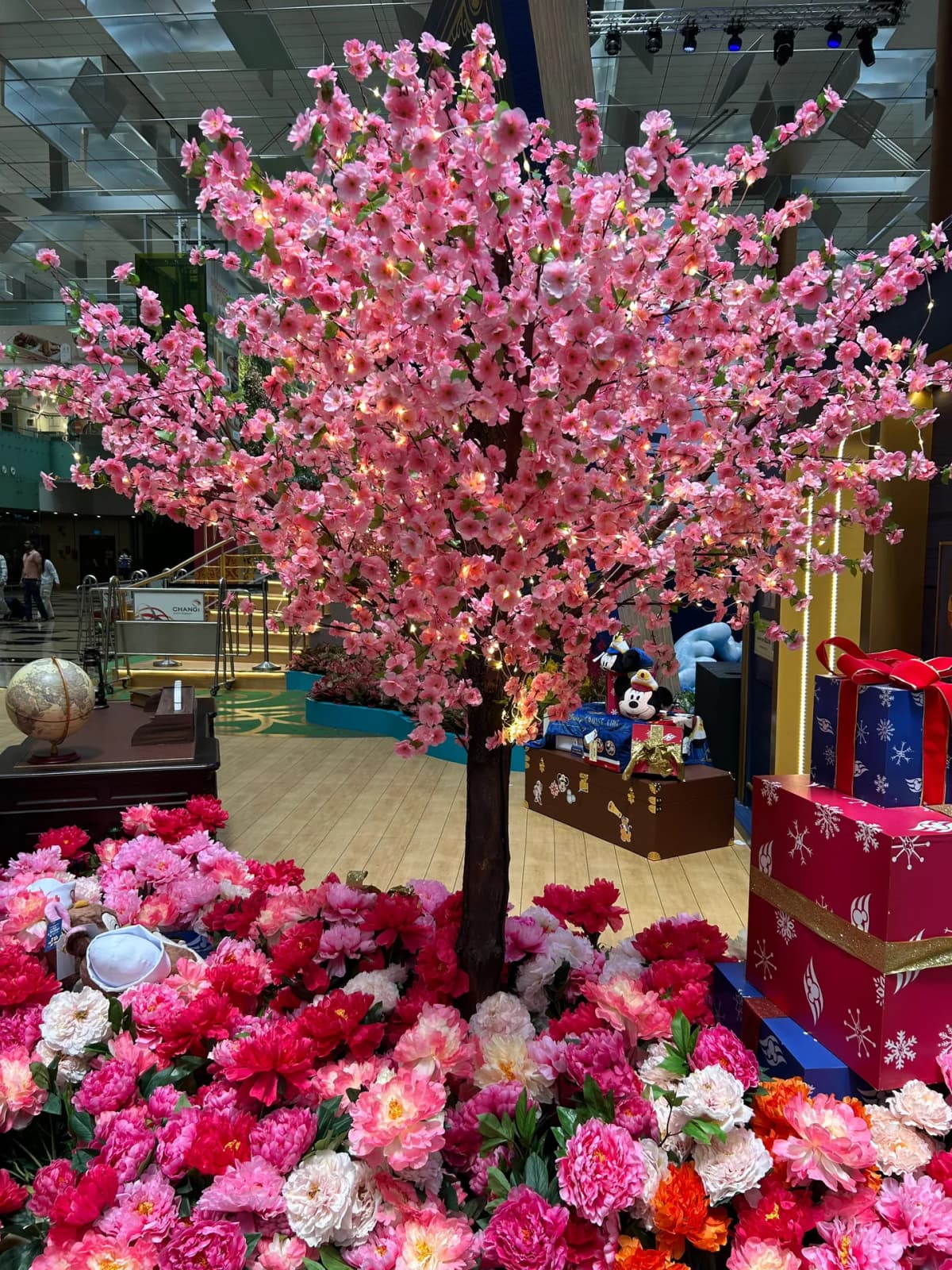 Pink cherry blossom tree and peony flower bed on display inside Changi Airport
