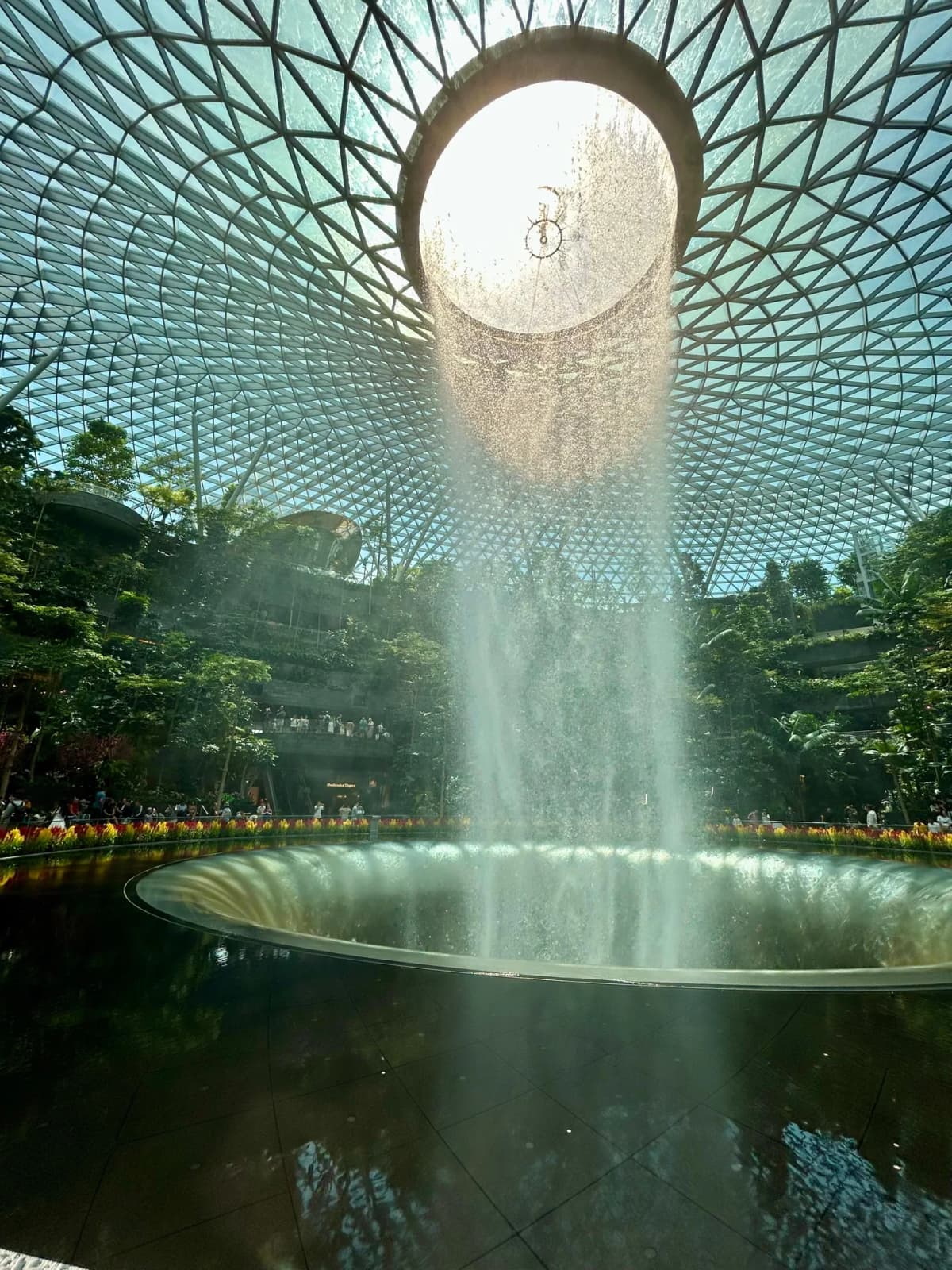 The Rain Vortex seen from below with sunlight streaming through the oculus at Jewel Changi Airport
