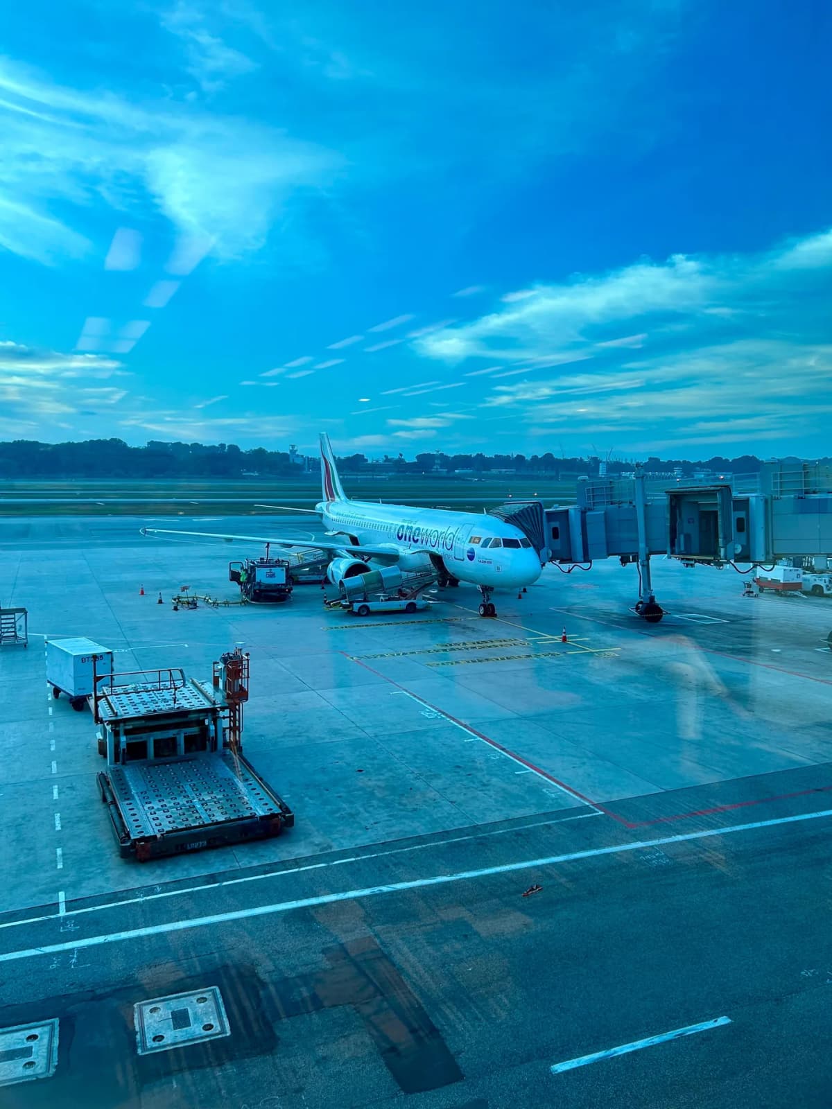 SriLankan Airlines A320 parked at a Changi Airport gate in the blue light of early morning