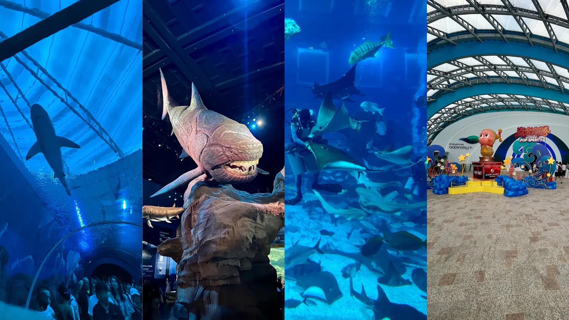 S.E.A. Aquarium Singapore Travel Guide