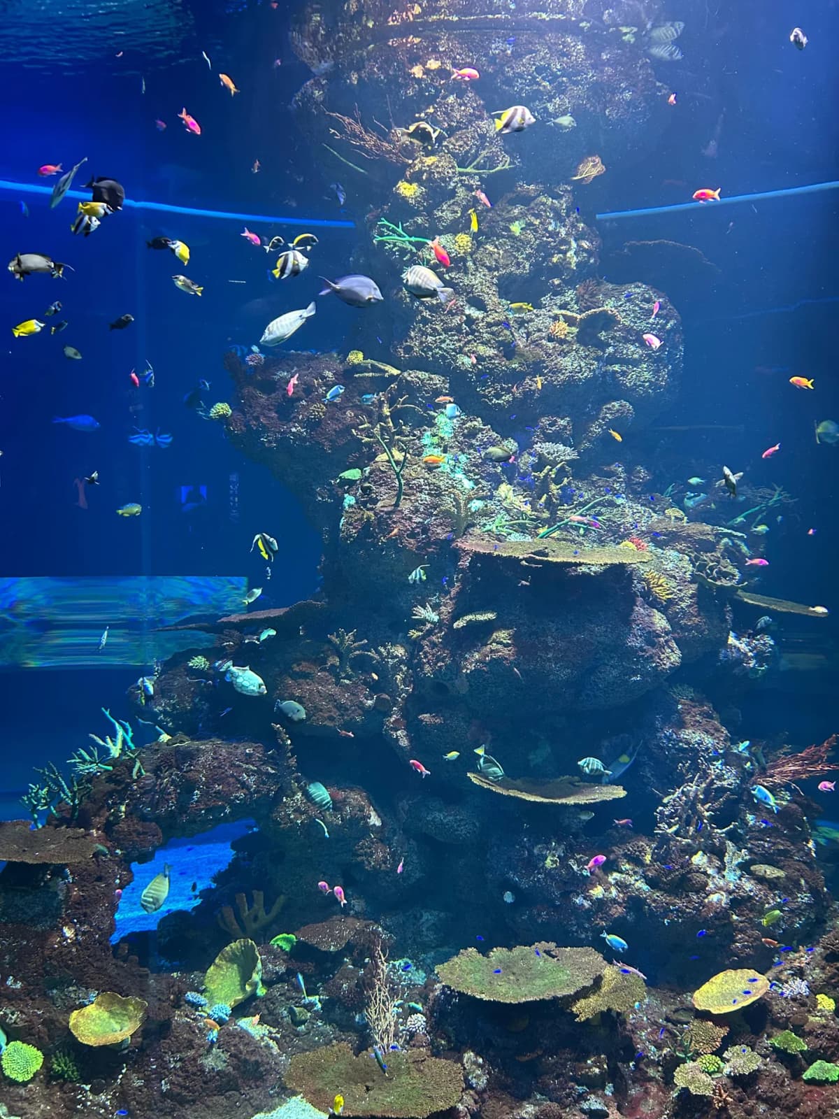 Silhouettes of visitors sitting in awe in front of the illuminated tank