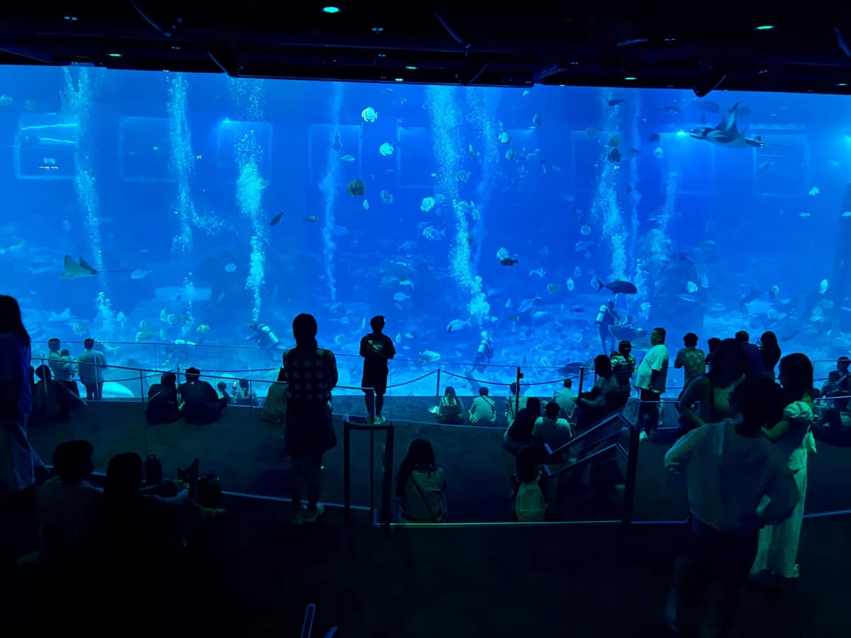 Glowing, mysterious animals mesmerize under specialized aquatic lighting