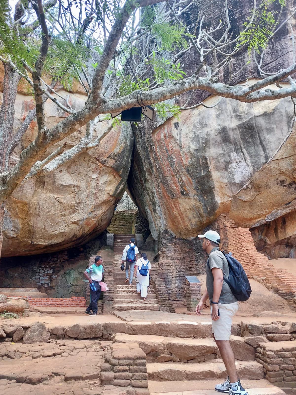 Standing at the two massive boulders near the starting point of the Sigiriya climb